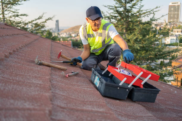 Best Brick Veneer Siding  in Buena, NJ